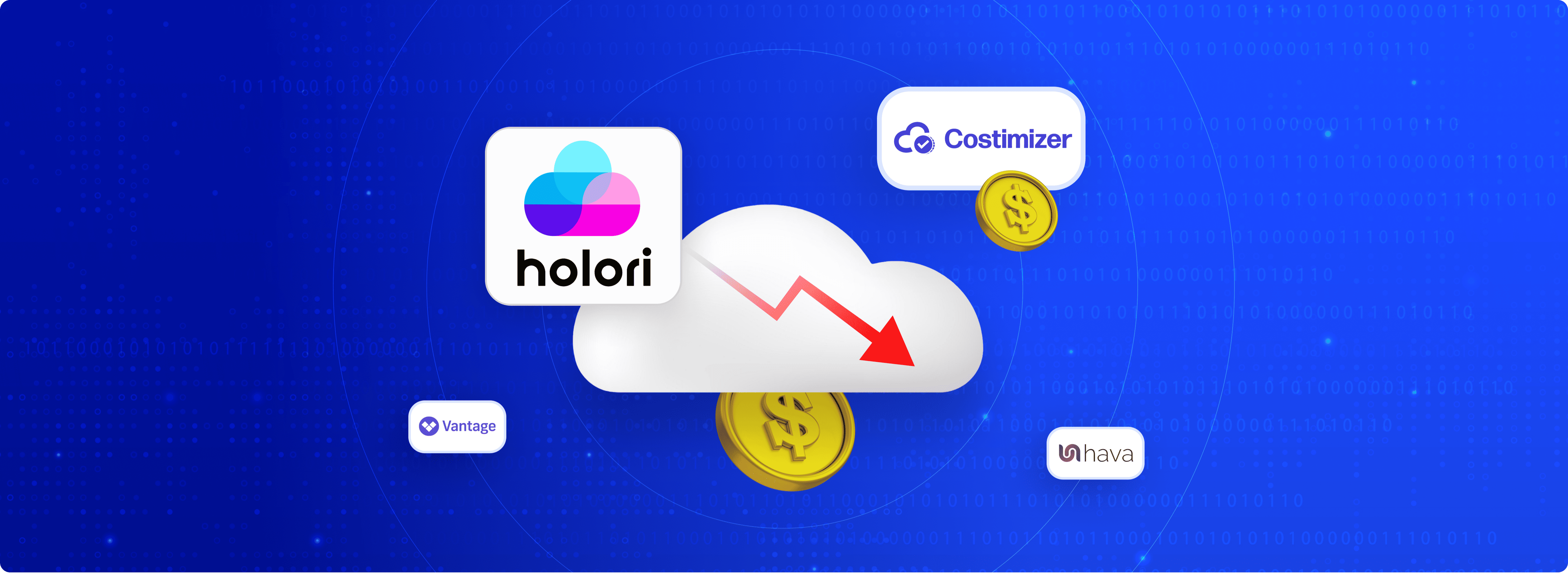Top 6 Holori Alternatives for FinOps Visualization & ROI in 2026 