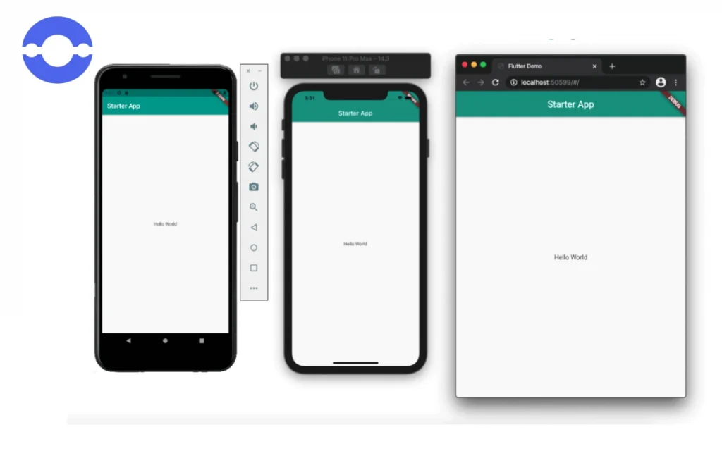 Flutter app on mobile platforms and web
