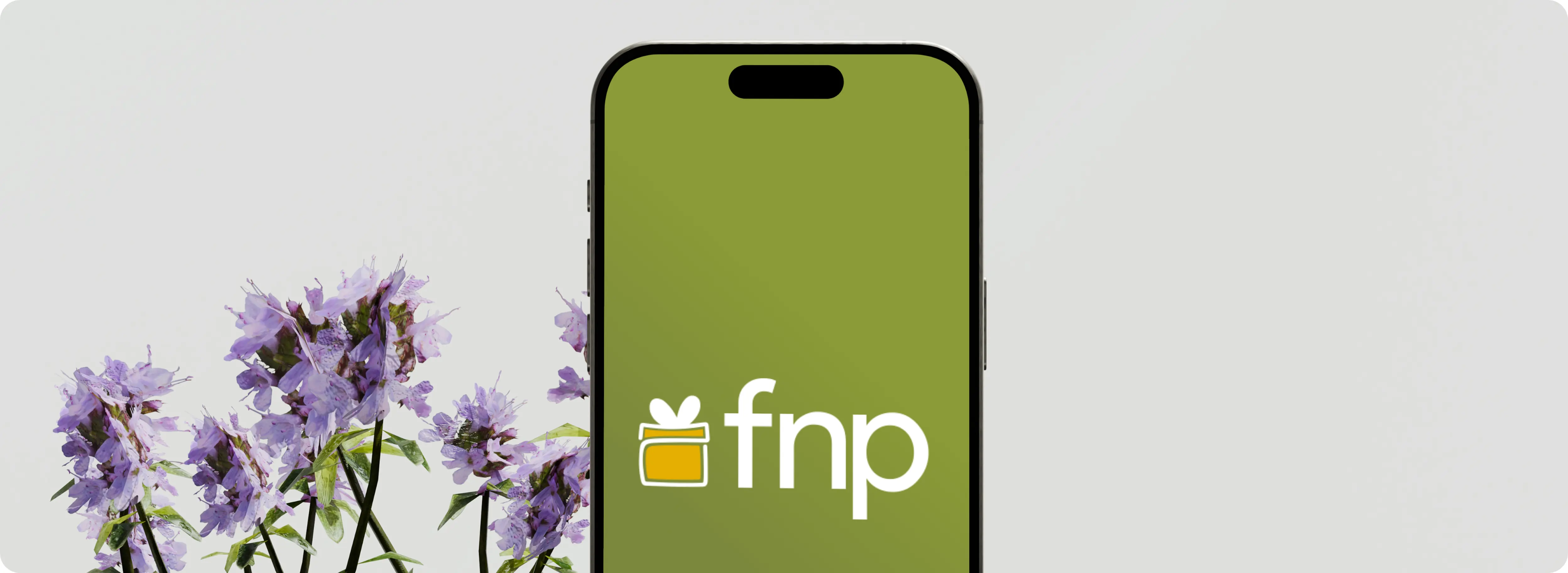 fnp