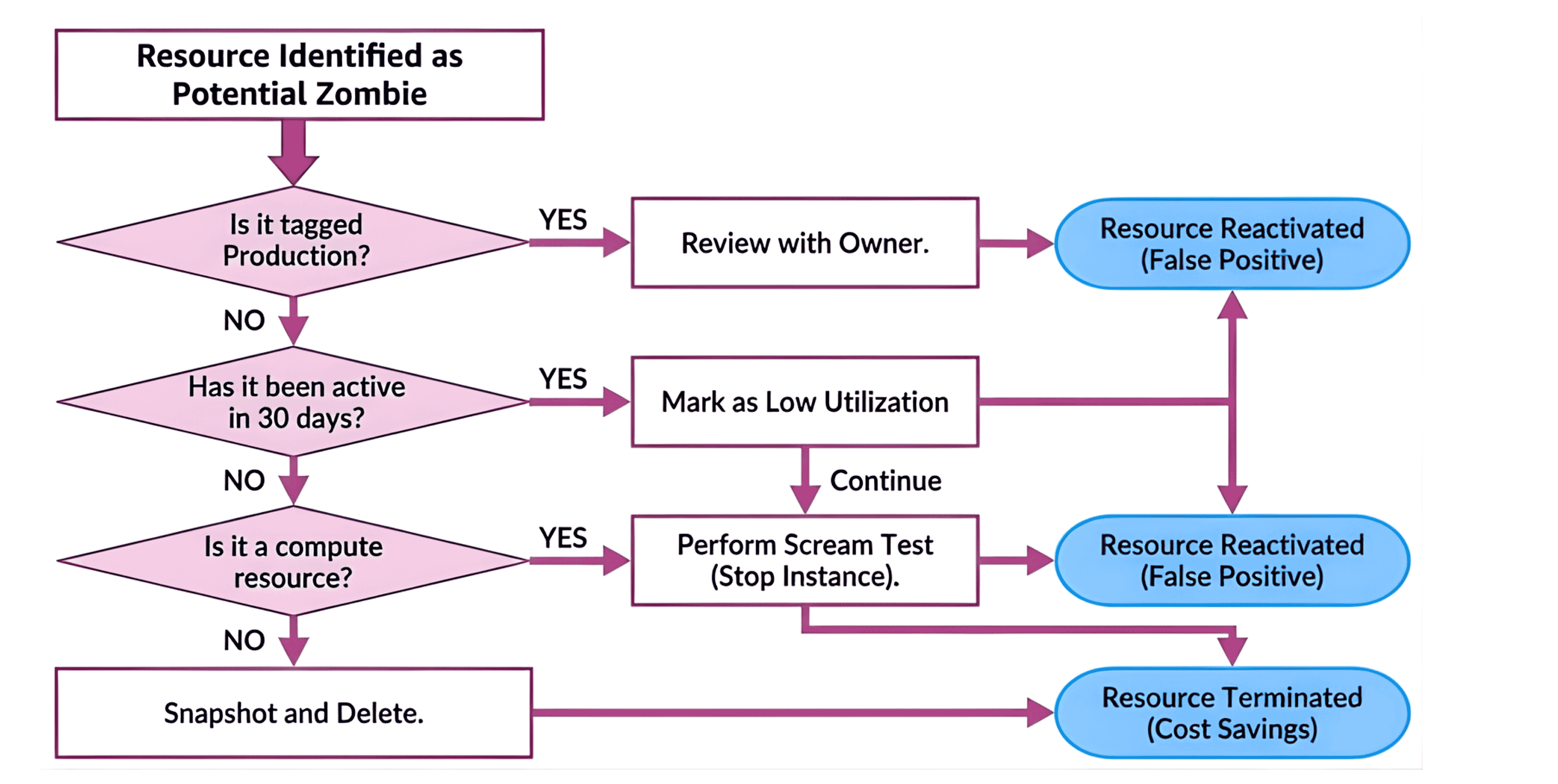 Visualizing the Decision Logic