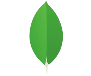 MongoDB 