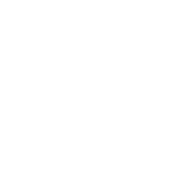 CodePen